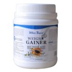Winstown Weight Gainer Powder 450gm