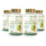 Dr. Pinoca Green Tea Nature Lean Gummies 4 Bottles x 60 Gummies